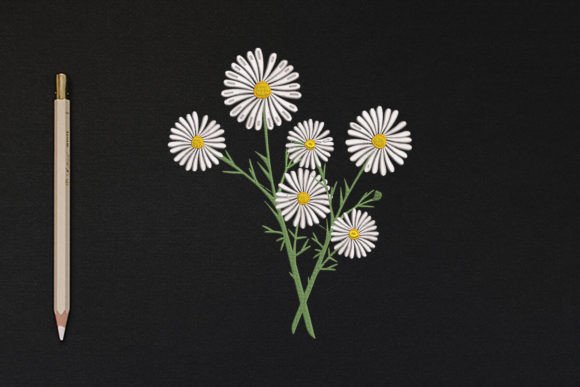 Flower Plant Embroidery Review