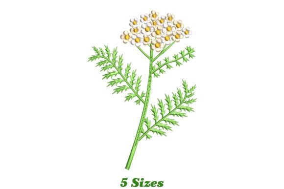 Yarrow Flower Embroidery Design